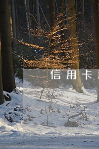 信用卡逾期可以报名e 代驾吗 信用卡逾期可以报名e 代驾吗